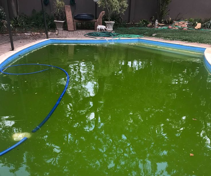Green swimming pool water caused by algae growth in Cape Town residential pool
