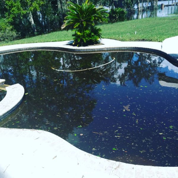 Black or dark pool water caused by severe algae infestation or organic decay in Cape Town