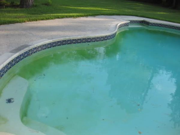 Blue-green swimming pool water caused by early algae growth or high copper levels in Cape Town