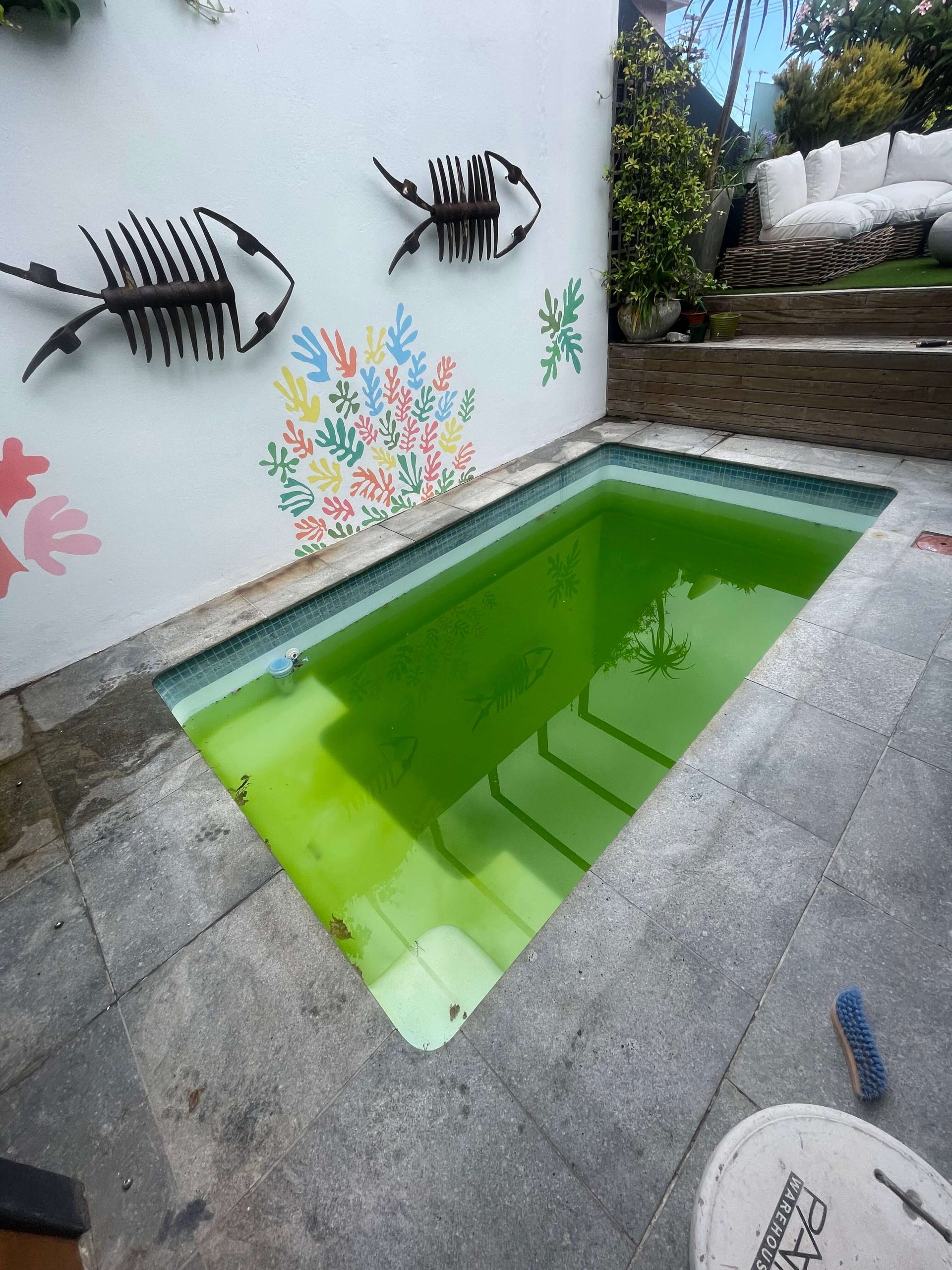 Green swimming pool water caused by algae in a Cape Town residential pool