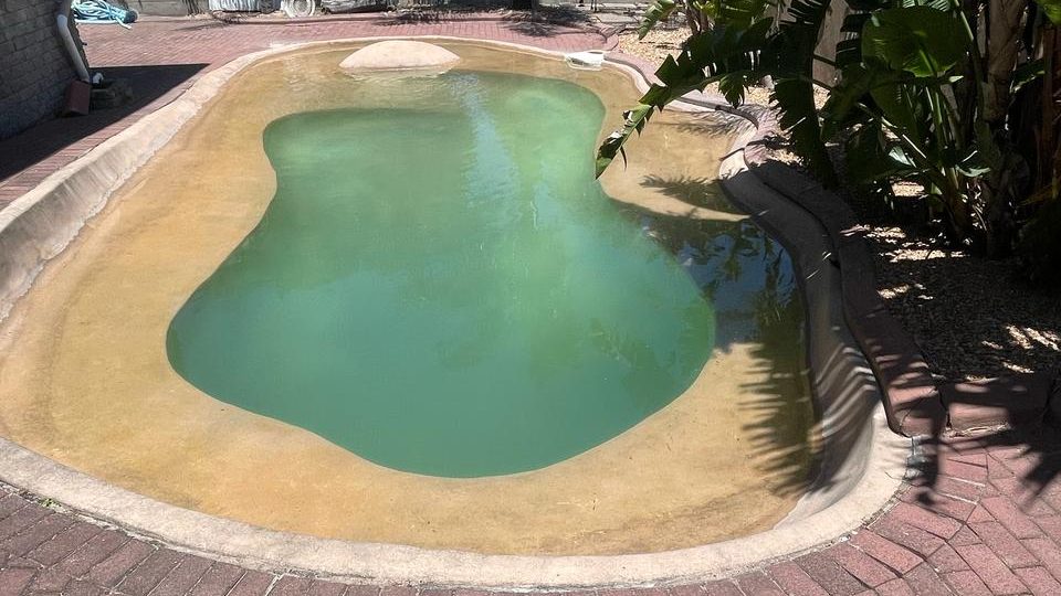 Family-friendly beach entry gunite swimming pool in Belville, offering smooth access, stylish design, and expert concrete craftsmanship.