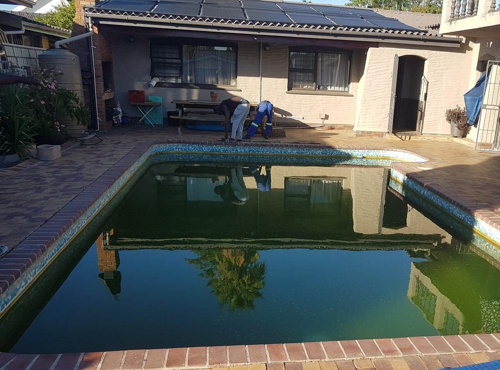 Green algae build-up in a residential swimming pool in Cape Town due to poor water circulation and lack of professional pool maintenance