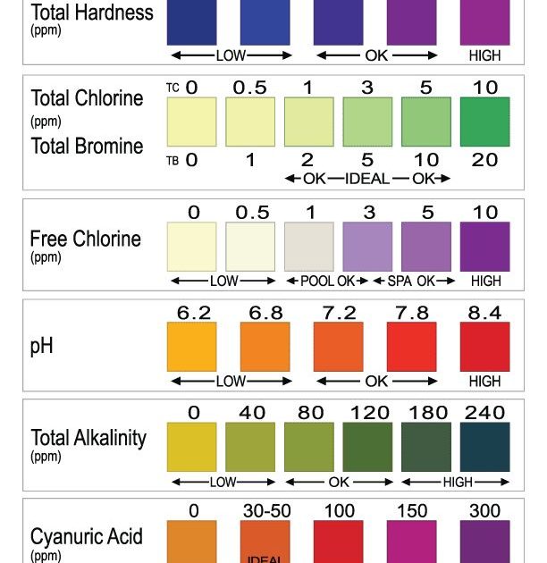 Pool cleaning and testing kit with test strips and solutions used to check pH, chlorine, and stabiliser levels in swimming pool water
