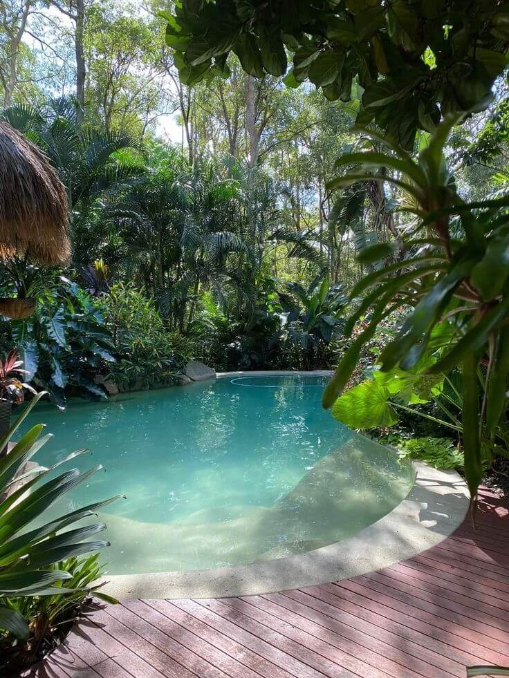 Tropical pool landscape with lush greenery and natural stone features in a Cape Town backyard