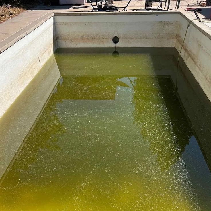 Rust-coloured pool water due to iron contamination from borehole or municipal source in Cape Town