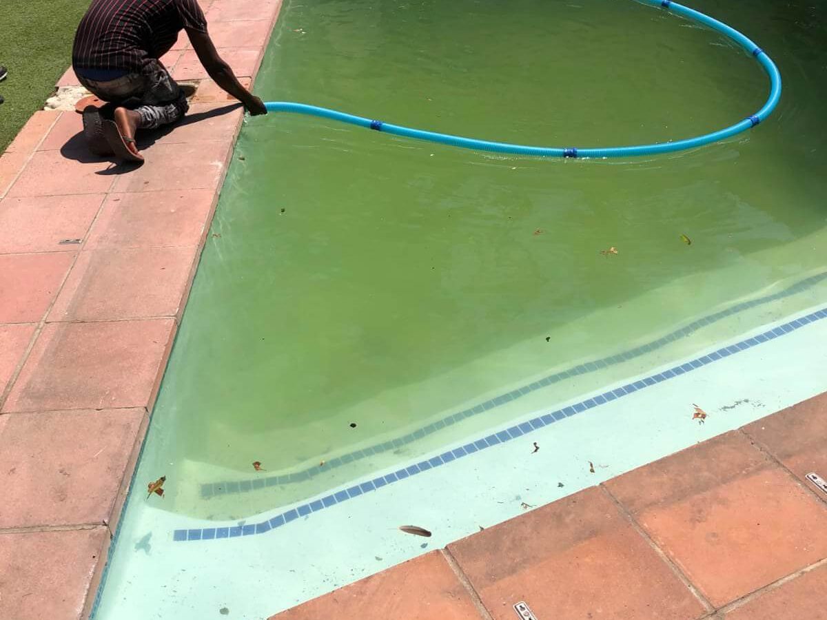Cloudy blue green pool water in a Cape Town pool before chemical balancing