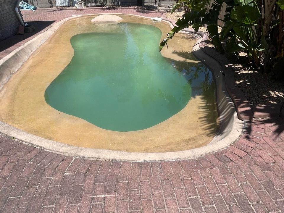 Beach entry pool with paving copings - Belville