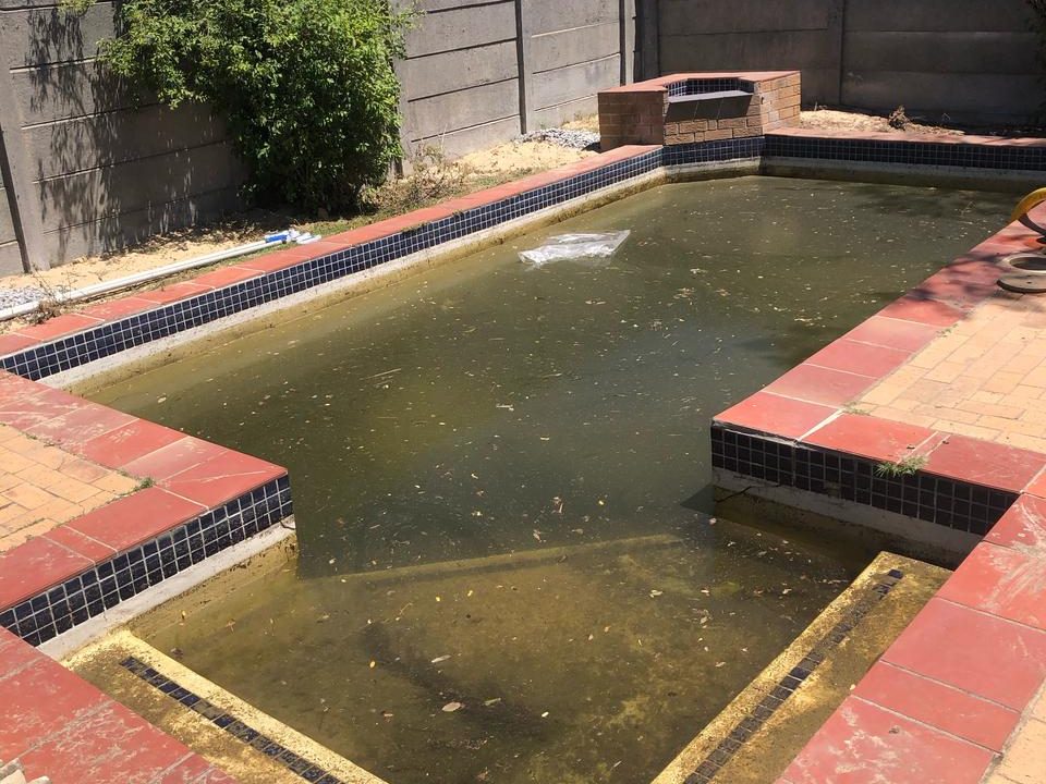 Before and after cleaning of a green algae-infested pool