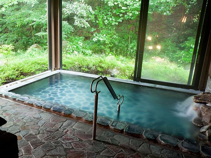 Luxurious indoor pool with outside garden view in a Constantia home, Cape Town.