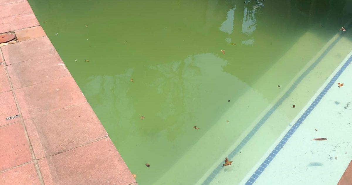 Murky pool water due faulty filtration system