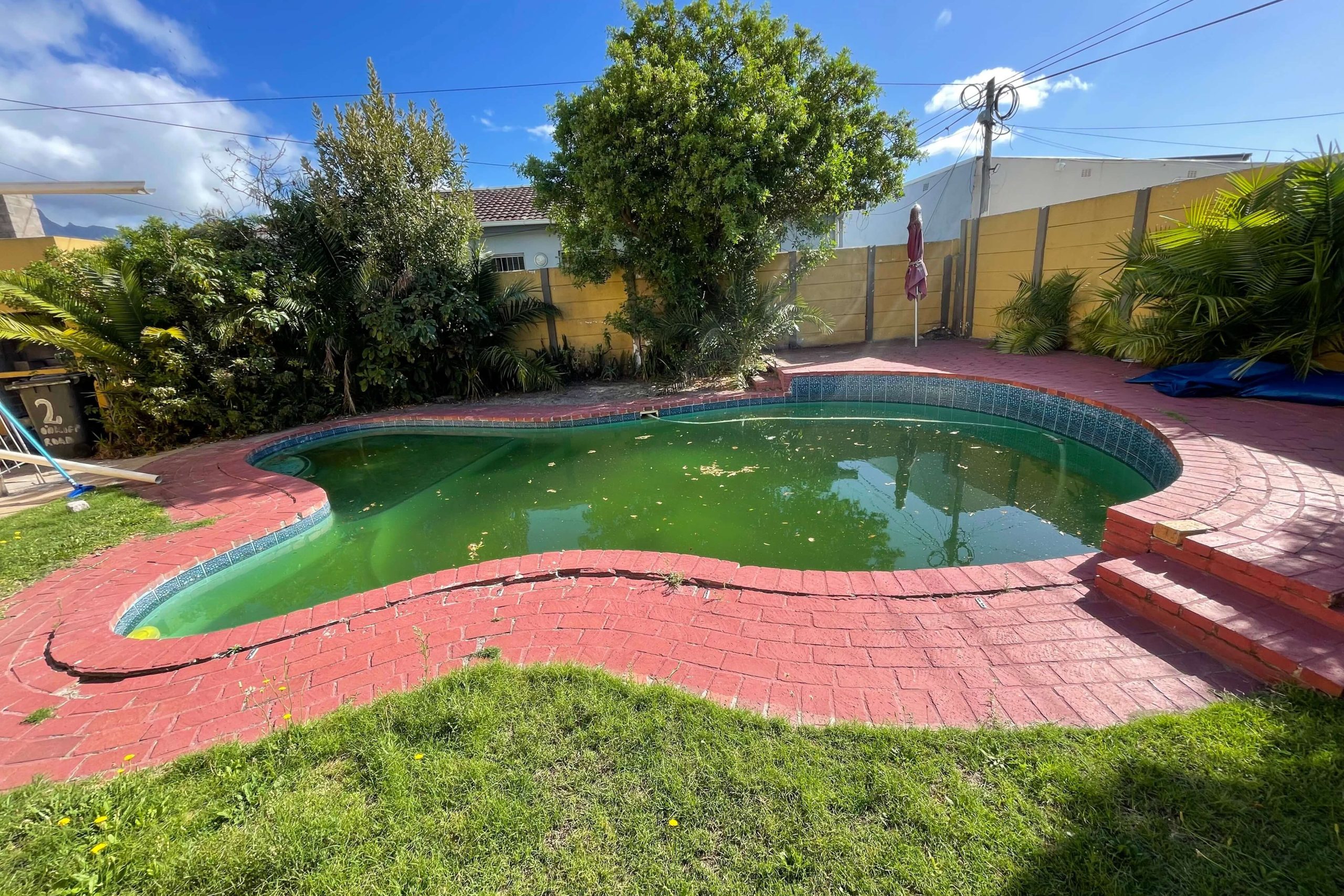 Green swimming pool undergoing professional cleaning in Cape Town