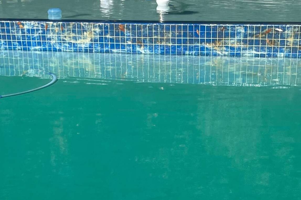 White scaling caused by hard water in a swimming pool