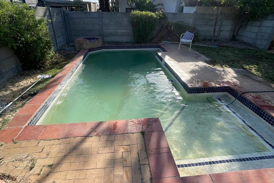 Before and after cleaning of a green algae-infested pool
