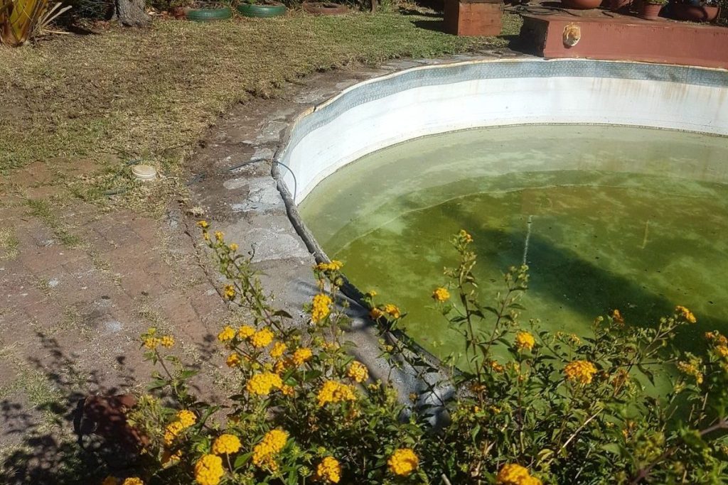 Old pool with missing coping and broken waterline tiles along the edge, ready for new coping