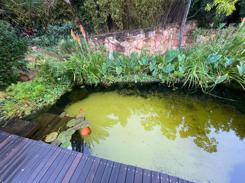 Slip-resistant composite pool decking texture ideal for South African climates.