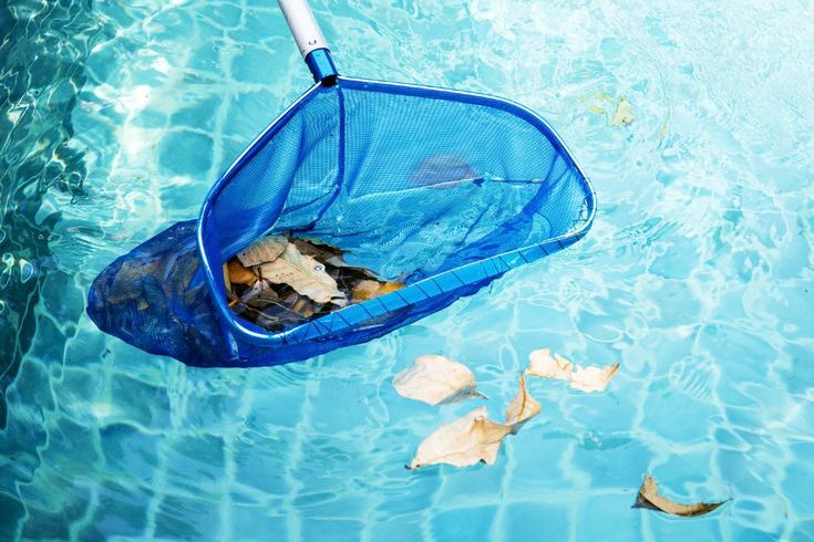 Swimming pool technician performing maintenance in Cape Town backyard