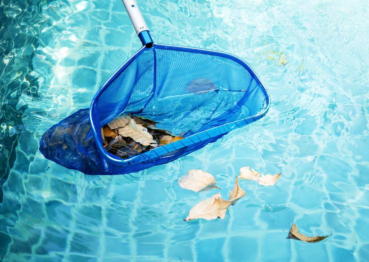 Professional pool technician cleaning and balancing pool water in Cape Town home