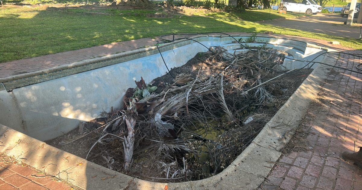Old fibreglass swimming pool in Cape Town with tree branches and roots causing wall bulging and shell damaged beyond repair