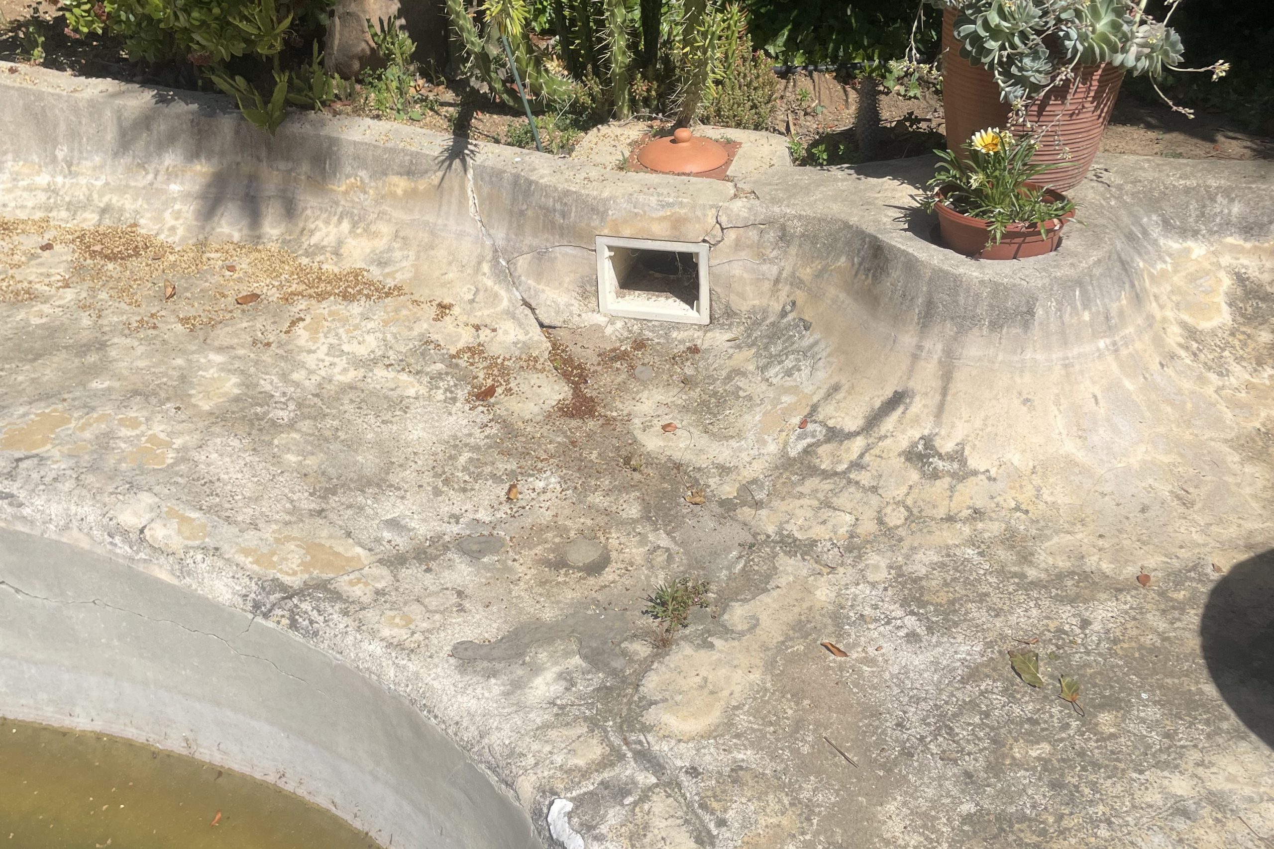 Aged marbelite beach entry swimming pool in Cape Town showing cracks, stains, and surface wear before renovation