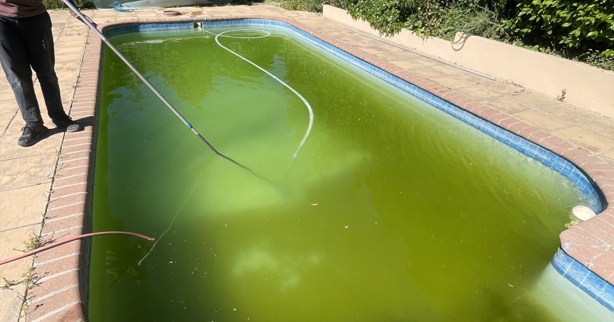 Pool owner vacuuming and shocking the pool before running filter for 24 hours in Cape Town