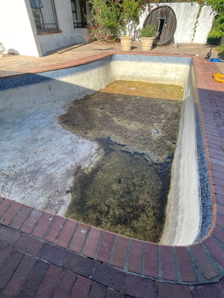 Old marbelite swimming pool heavily affected by algae and neglect in Cape Town before professional deep cleaning and resurfacing