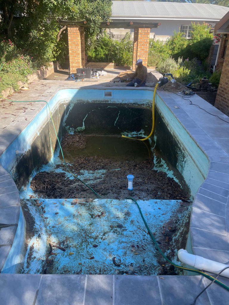 Dirty and neglected swimming pool in Wellington before professional renovation and deep cleaning, showing heavy algae and fungal growth prior to treatment by Pools Reno.
