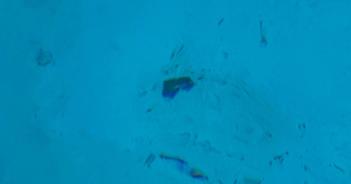 Marbelite swimming pool floor affected by black algae growth in Cape Town showing dark spots and surface deterioration