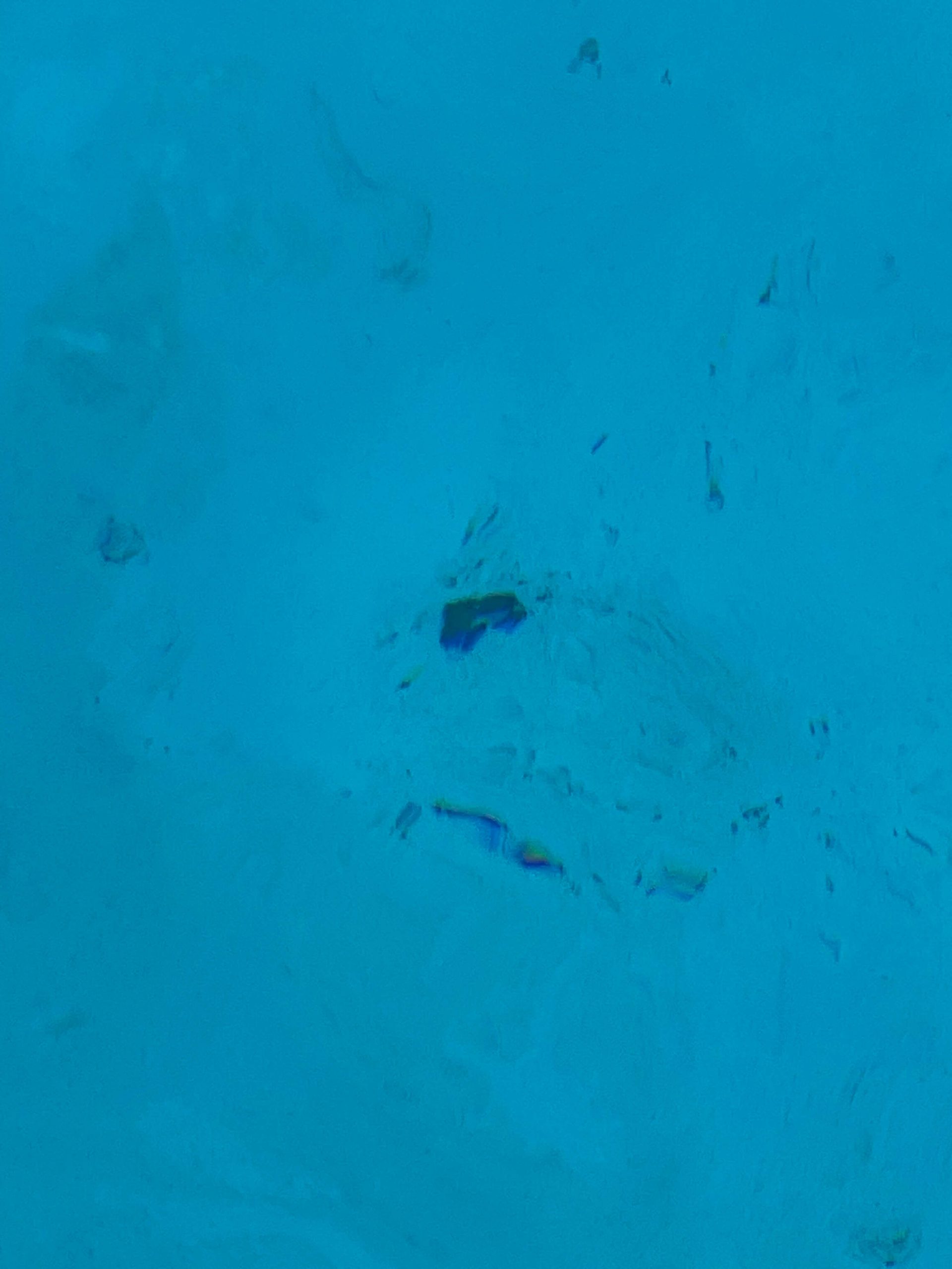 Marbelite swimming pool floor affected by black algae growth in Cape Town showing dark spots and surface deterioration