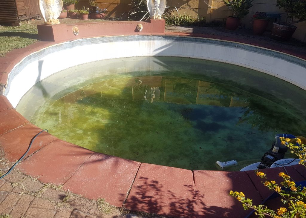 “Old deteriorated marbelite swimming pool in Riebeek-Kasteel showing cracks, algae stains and surface erosion before renovation”